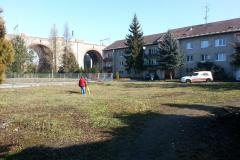 20130320_093146