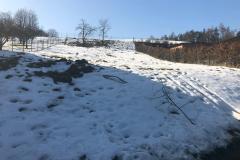 IMG-20190215-WA0009